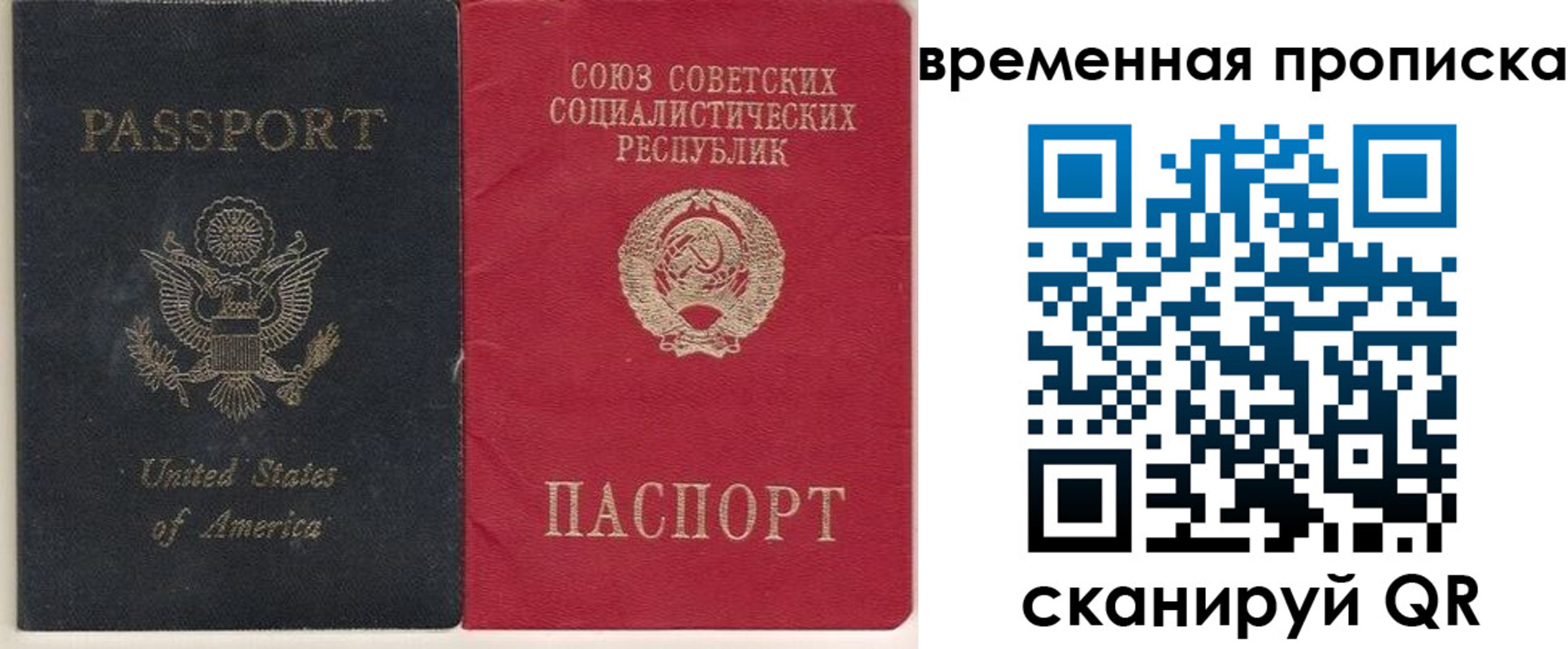 прописка для школы в Геленджике